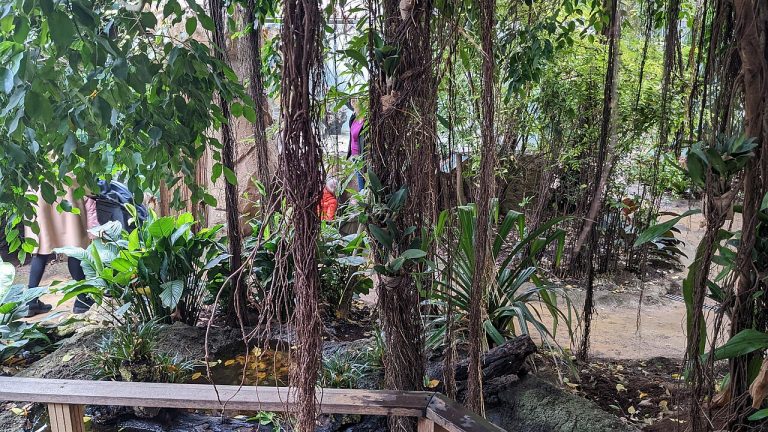 Dagje Vogelpark Avifauna — Attracties in Alphen aan den Rijn