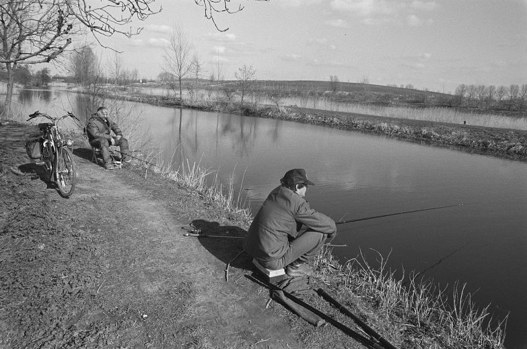 Wandeling in Zegerplas — Natuur in Alphen aan den Rijn
