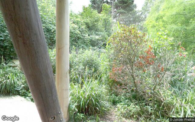 Avifauna