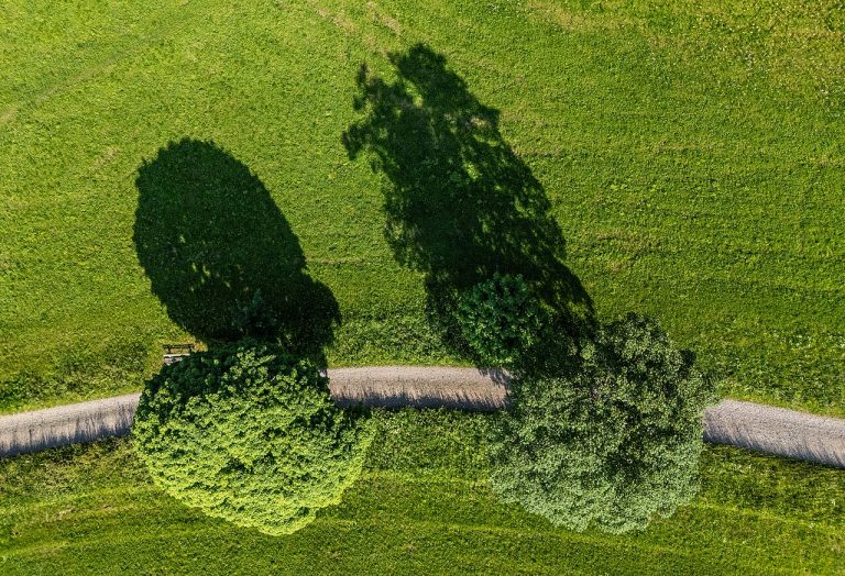 Historische stadswandeling met een gids — Natuur in Alphen aan den Rijn
