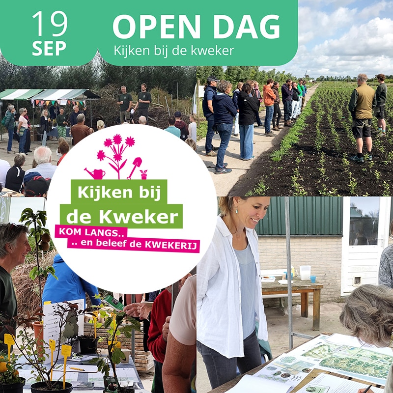 Open dag bij kwekerij Koperwiek in Hazerswoude-Dorp in Alphen aan den Rijn